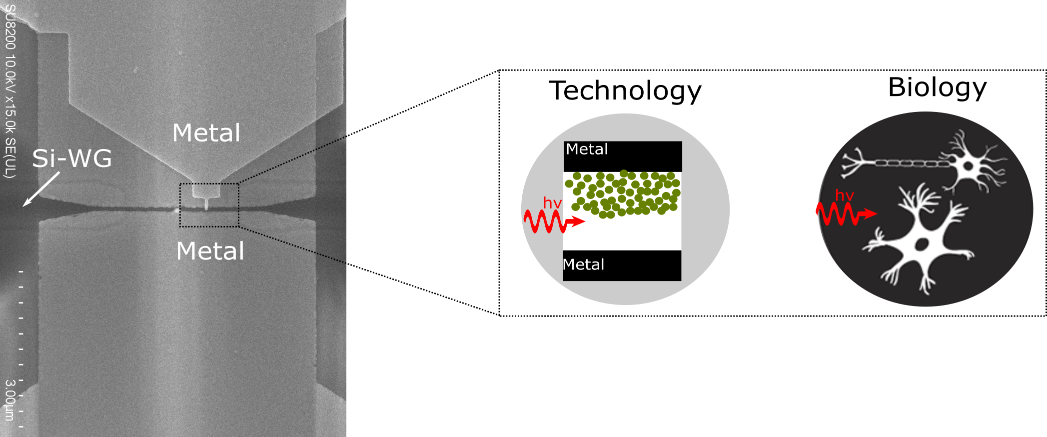 illustrations of optical-based memristor 