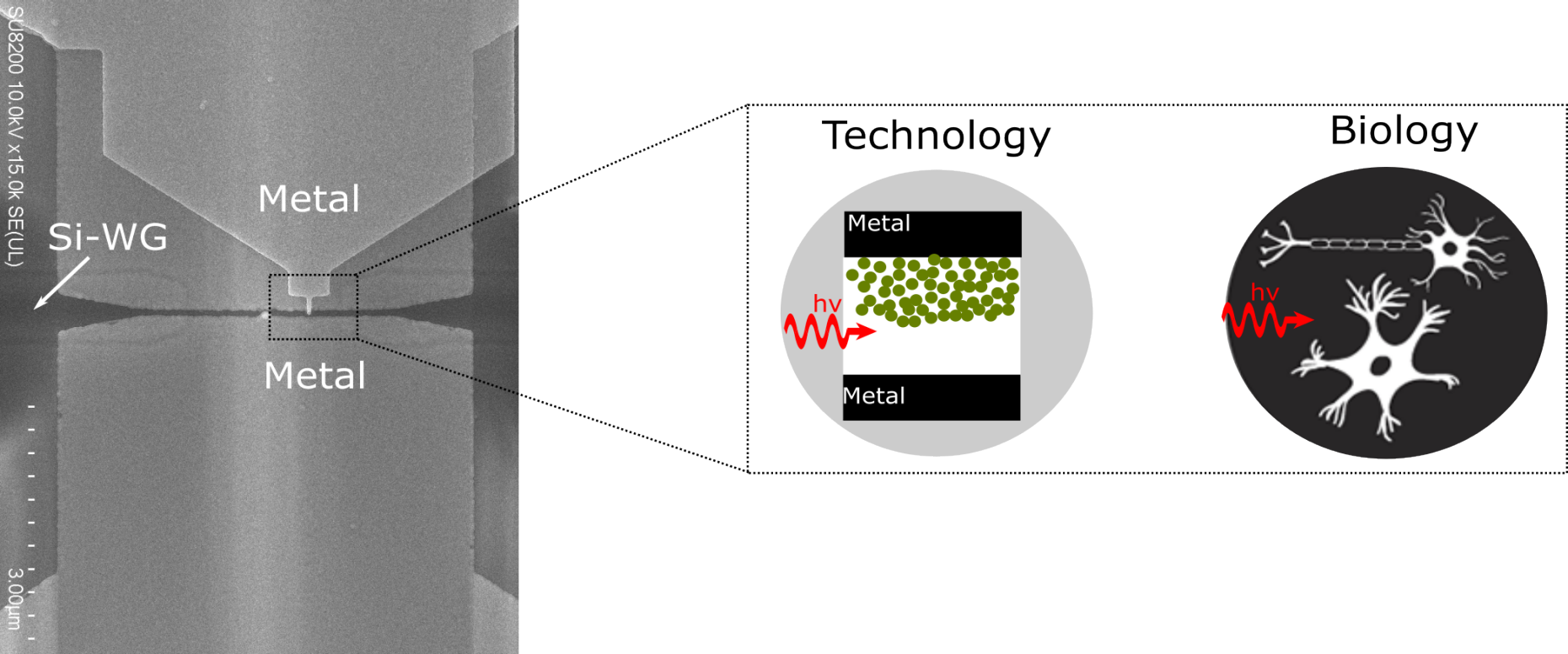 nano optics eth